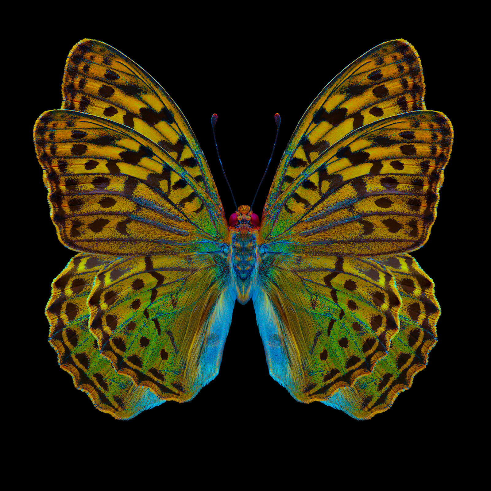 Slider Image